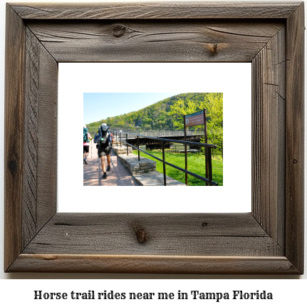 horse trail rides near me in Tampa, Florida